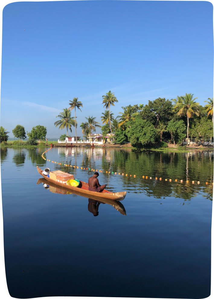Kerala backwater canal with lush palms